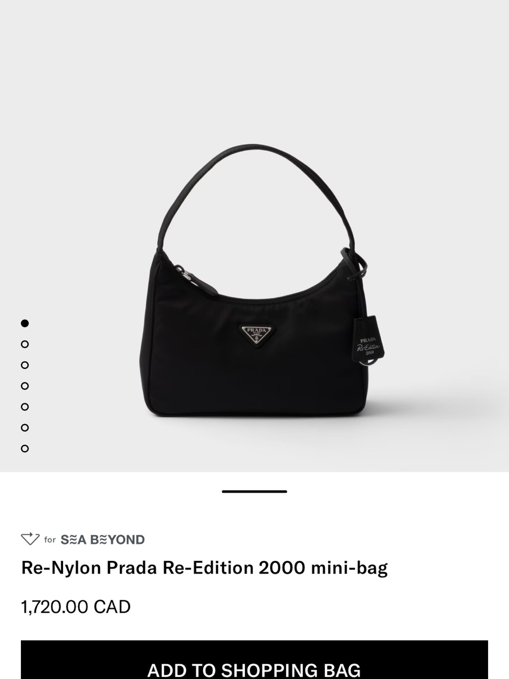 Prada re edition 2000